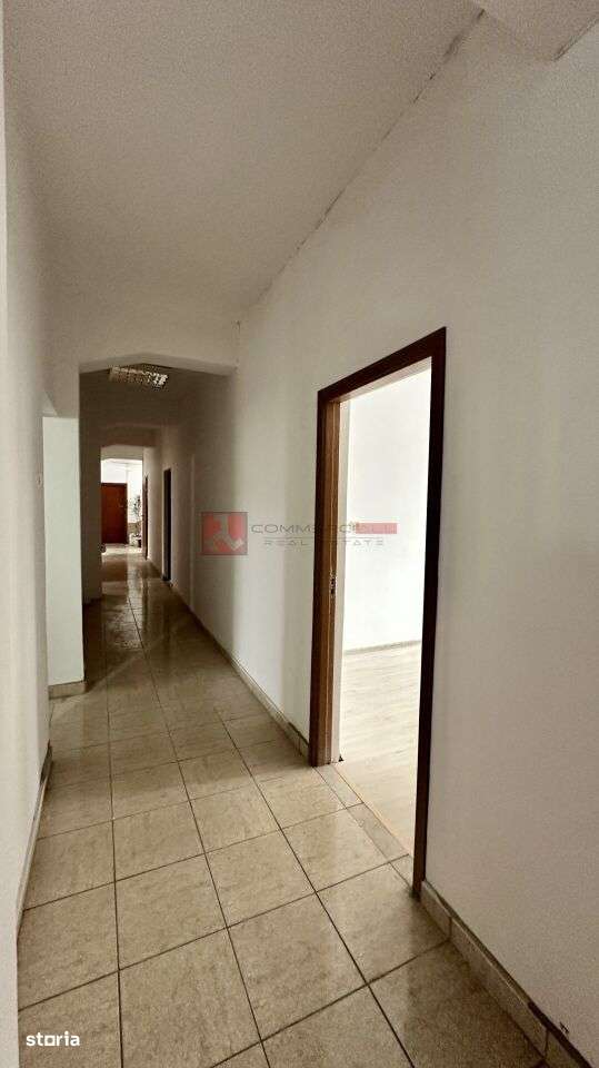 Suprafata generoasă Zona sp. Județean - Imagine principală: 5/15