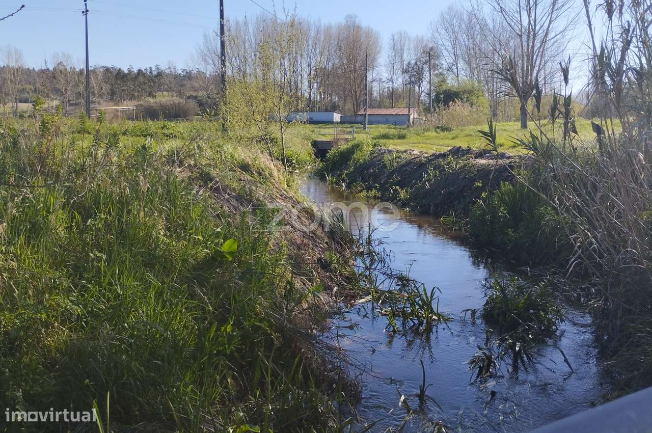 Terreno Rústico Leirão-11