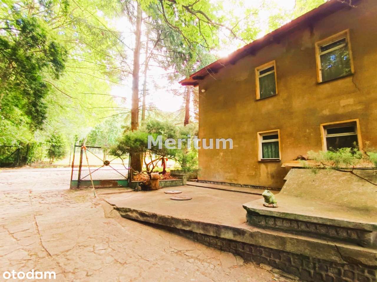 Ostromecko, os. Zabasta. Z potencjałem. - Pełny obrazek: 5/20