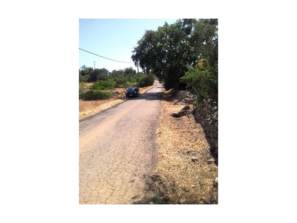 Terreno perto de São Brás de Alportel - Grande imagem: 4/9