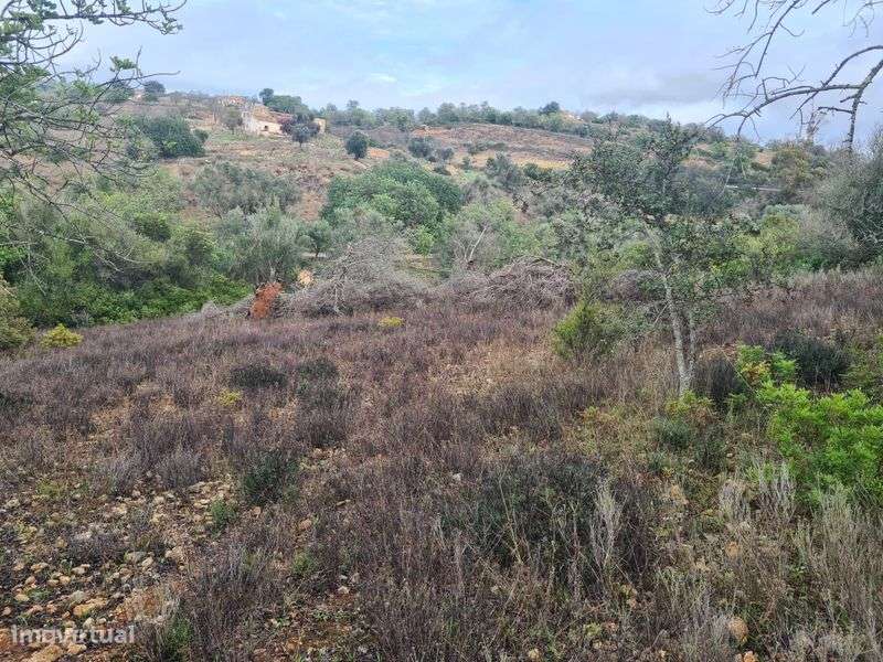 Terreno  Rústico - Grande imagem: 5/7