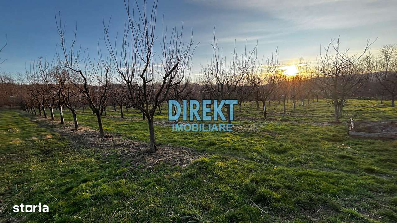 Casa cu teren Monor - Imagine principală: 5/6