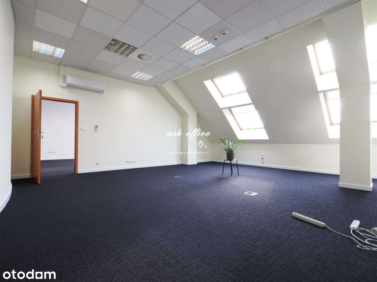 Lokal użytkowy, 70 m², Wrocław