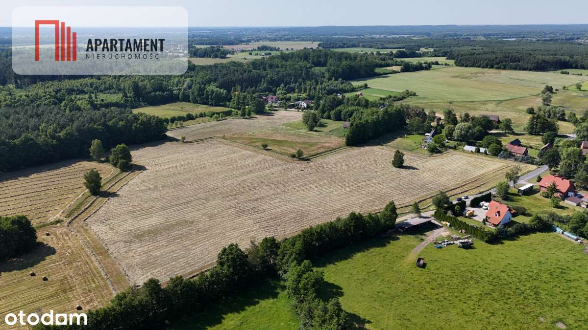 Malownicze działki wśród natury w Niesułowicach - Pełny obrazek: 4/13