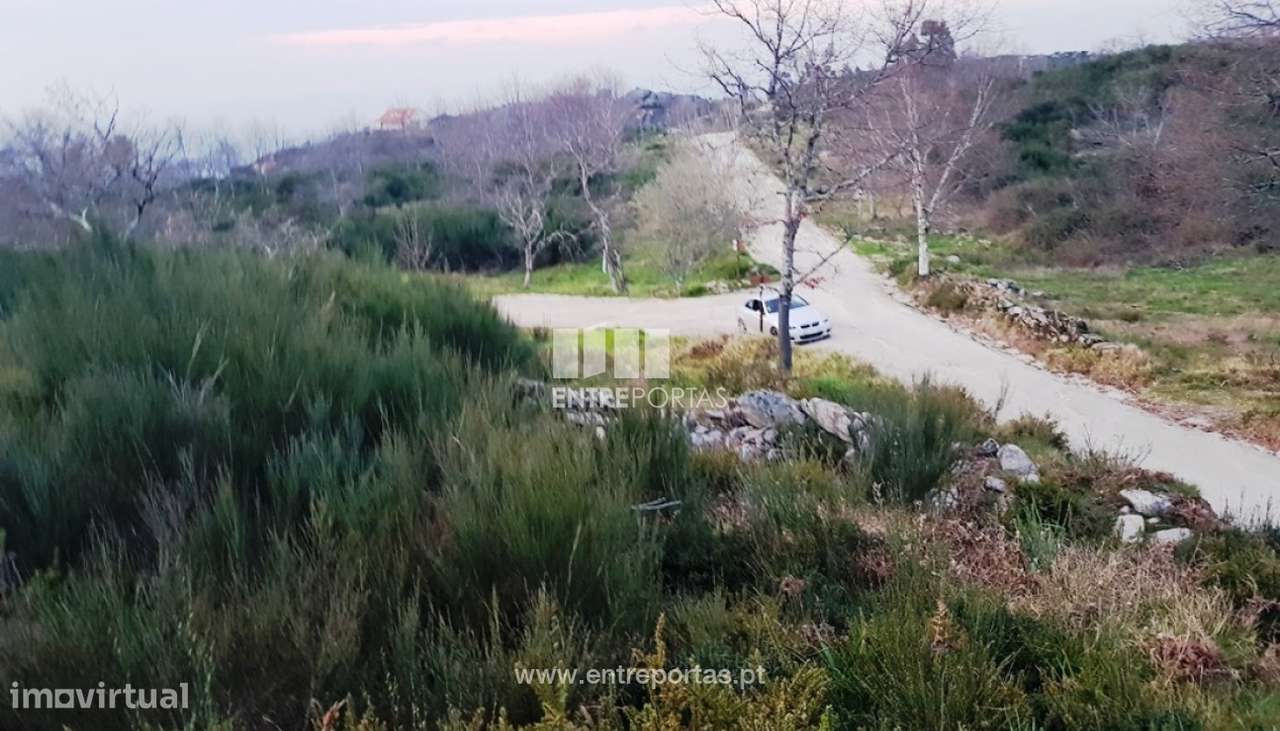 Venda Terreno, Várzea de Ovelha e Aliviada, Marco de Canaveses - Grande imagem: 3/10
