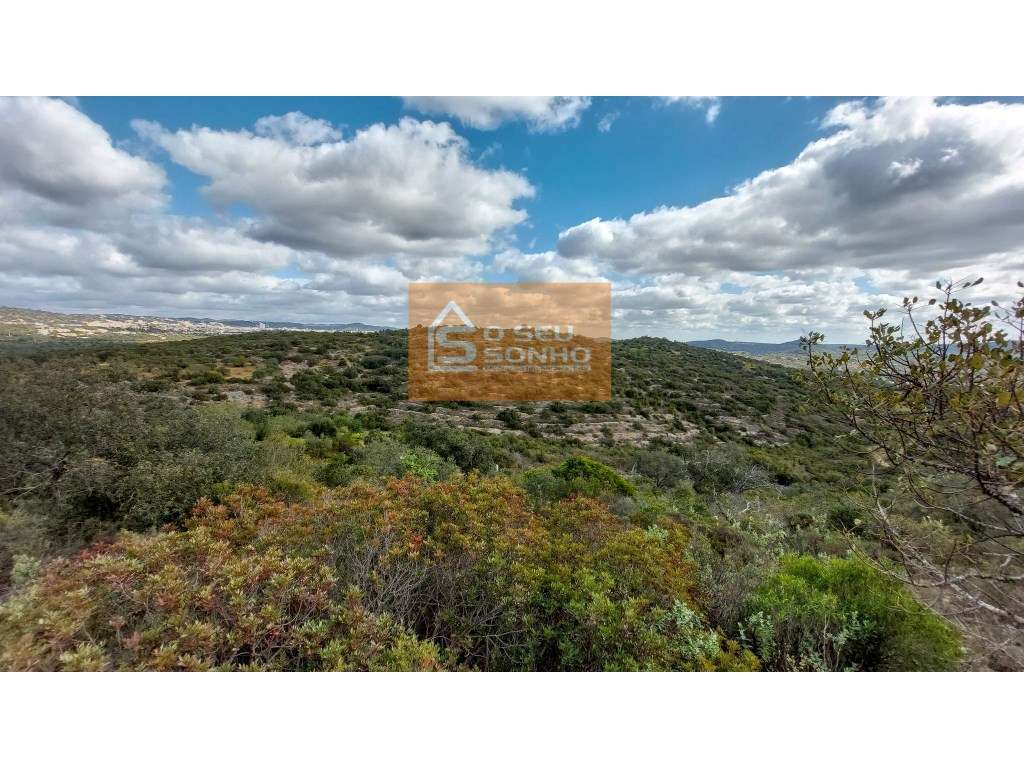 Terreno com aprovação para implantação de estabelecimentos hoteleiros - Grande imagem: 5/10