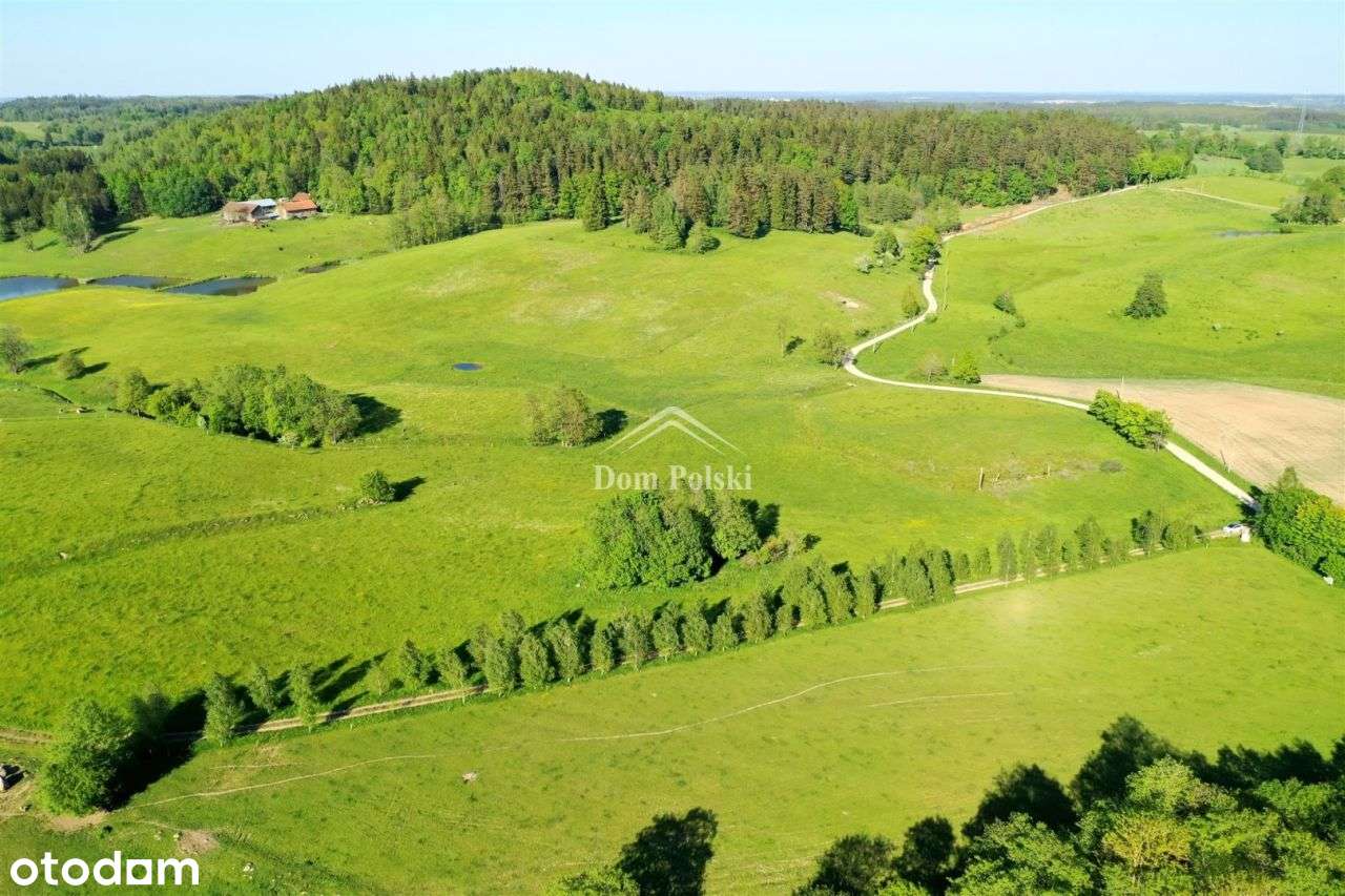 Działka 6,0945 ha - Szeszki, gm. Kowale Oleckie - Pełny obrazek: 5/20