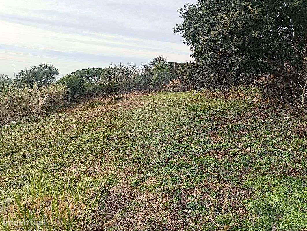 Terreno  para venda - Grande imagem: 5/14