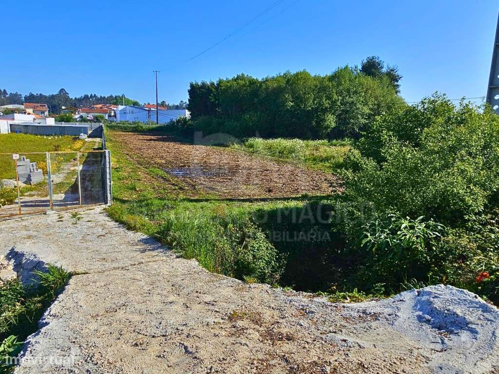 Oportunidade de Investimento Agrícola: Terreno de 1.800 m² com Pote...-6