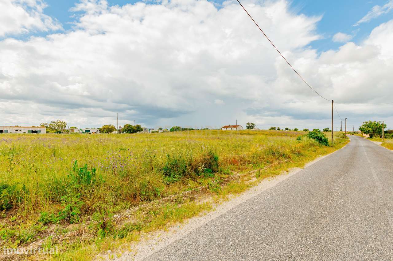 Terreno Urbanizável - Biscainho ( Coruche ) - Grande imagem: 5/12