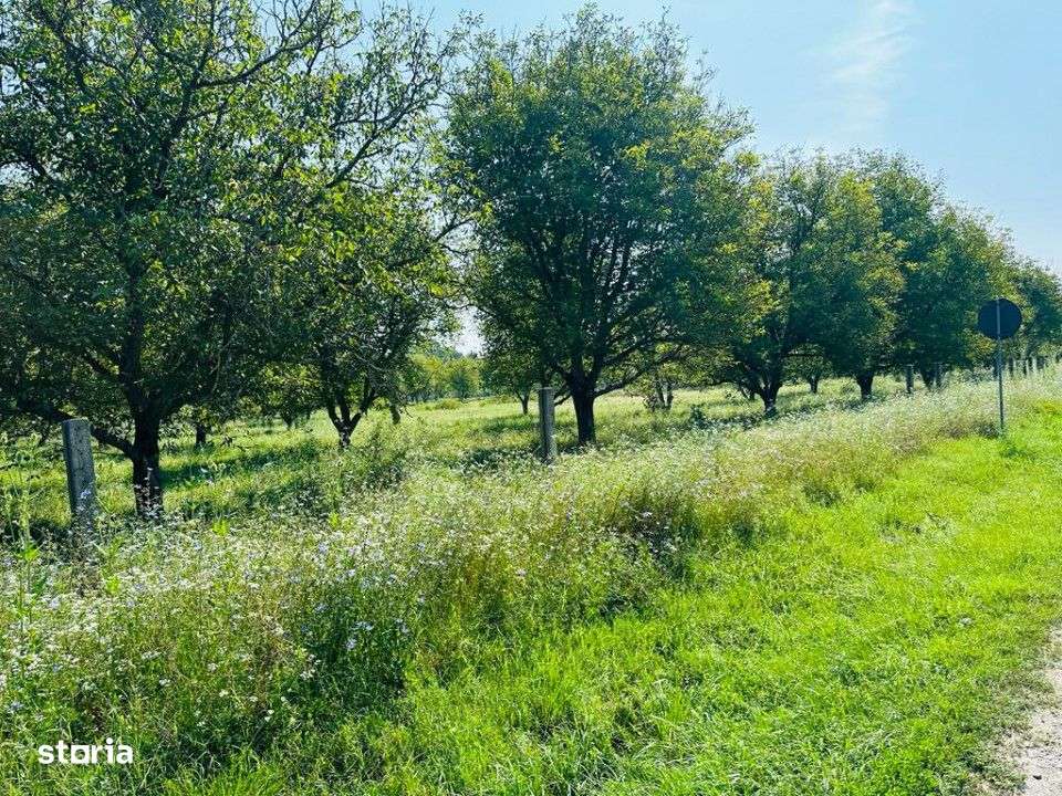 Vanzare teren situat in Tg Jiu, Calea Tismanei - la DN 67 D - Imagine principală: 3/4