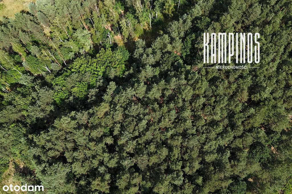 Unikalna działka budowlana przy KPN - Pełny obrazek: 5/6