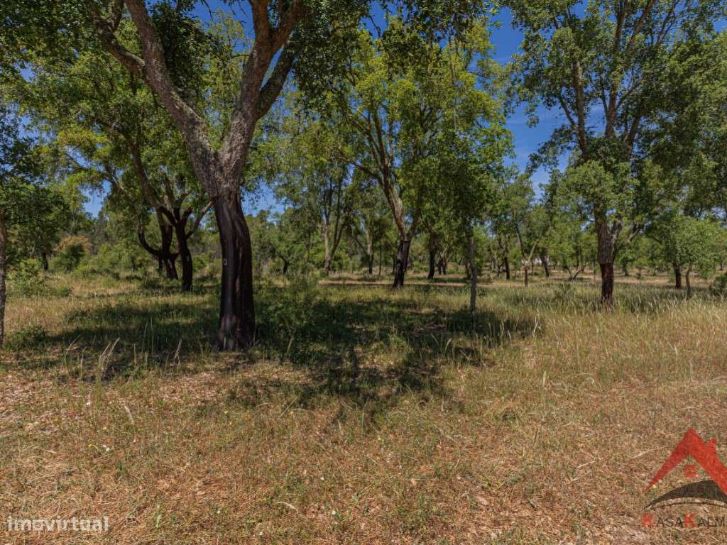 HERDADE DO BARRANCO - OPORTUNIDADE ÚNICA PARA TURISMO E INVESTIMENTO-46
