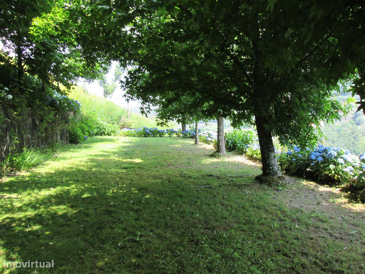 Quintinha no Minho Ponte de Lima * 10.000 m2 * a 90 Km do Porto-41