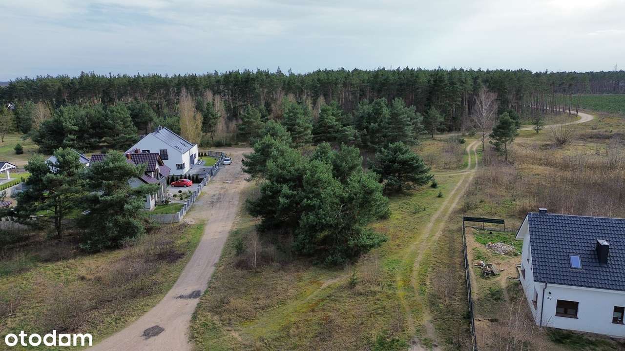 Działki budowlane w środku lasu blisko Wrześni Psary-0