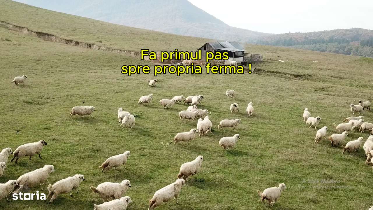 Parcele 1100 mp Pentru Microferme, Grădini Bio & Creșterea Animalelor-8