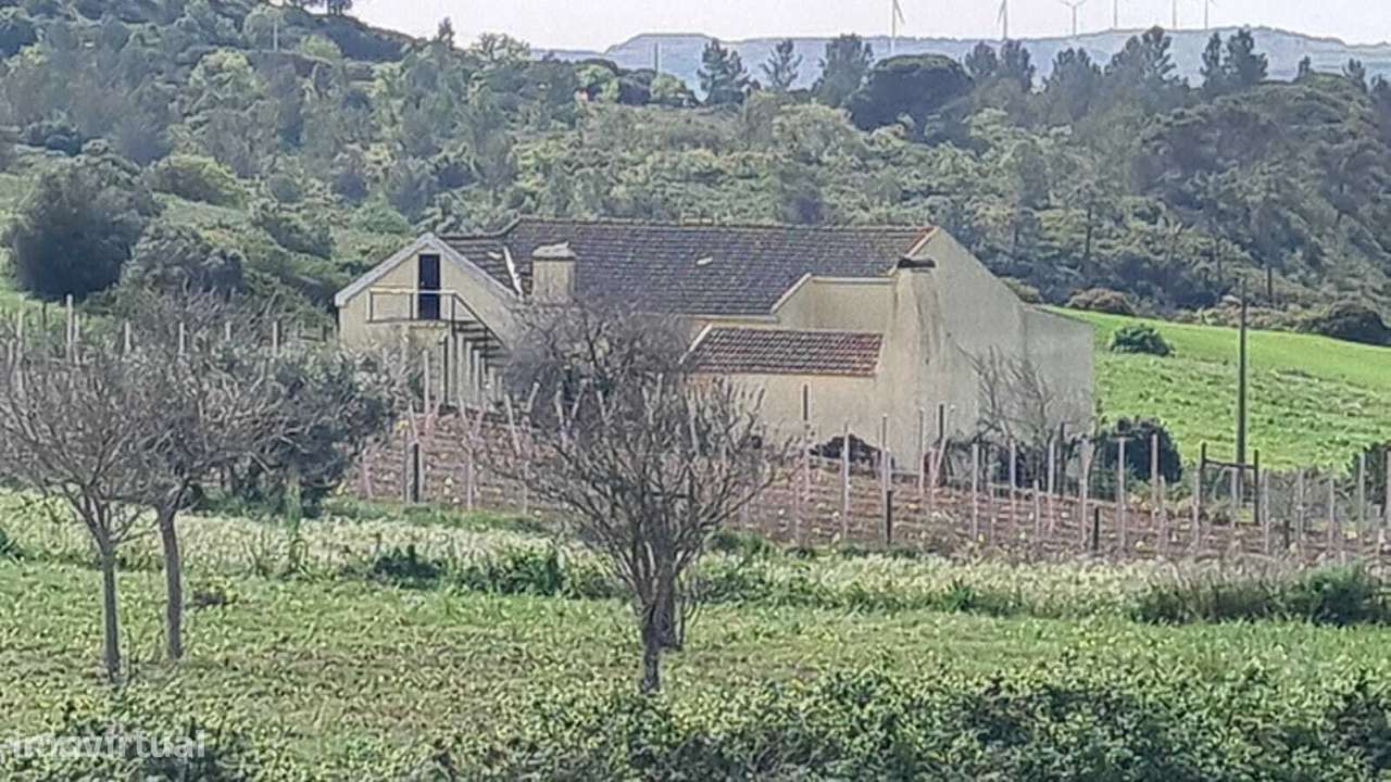 Quintinha a 10 minutos de Arruda dos Vinhos - Grande imagem: 2/22