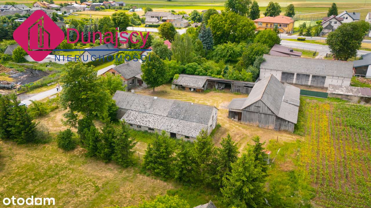 Siedlisko w Mdzewie pod Mławą, budynki gospodarcze plus dom! - Pełny obrazek: 4/20