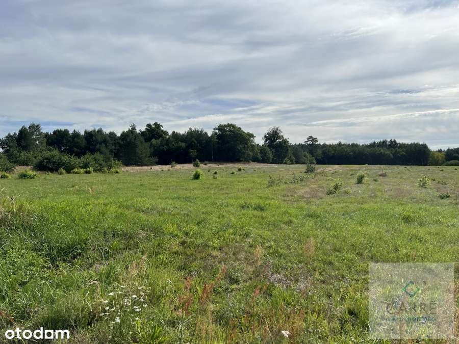 Uniemyśl działki budowlane.-3