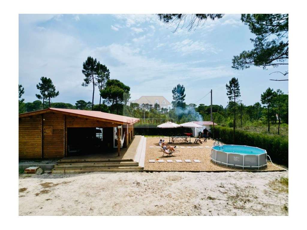 Terreno a 5 minutos da praia e lagoa de Melides! - Grande imagem: 4/13