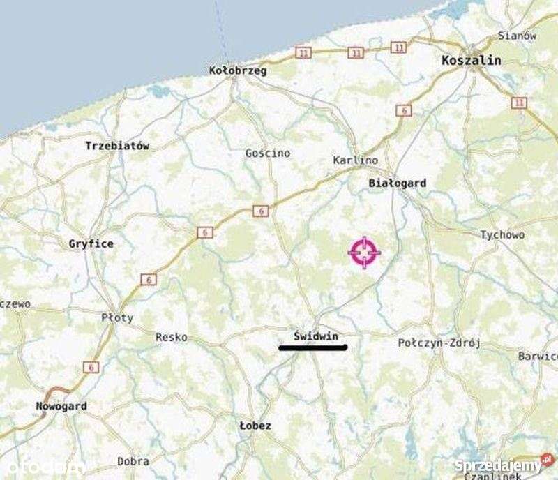 Działka rolna 1,17 ha . Puszcza . Las . Spokój . - Pełny obrazek: 5/12