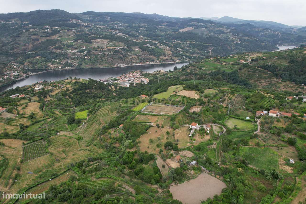 Quinta em Miomães, Resende | Um refúgio rural com cerca de 4 hectares-15