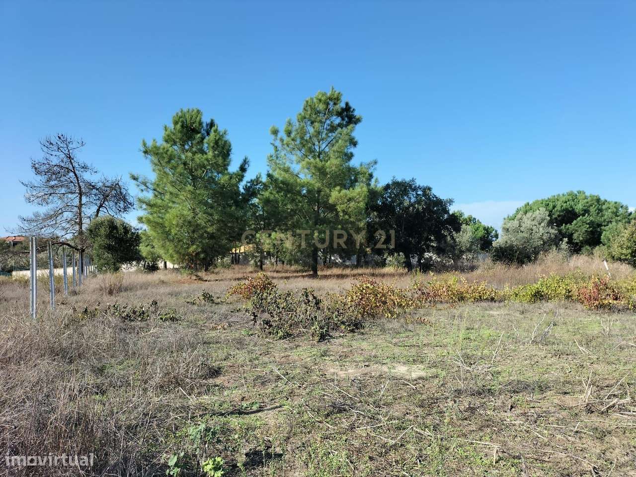 Terreno com 5500m à entrada do Pinhal Novo - Palmela - Grande imagem: 5/16