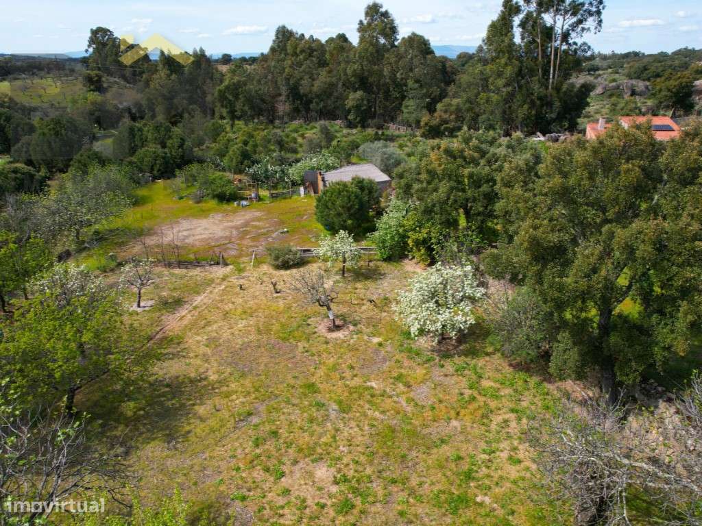 Lote de terreno para construção em Escalos de Baixo. - Grande imagem: 5/15