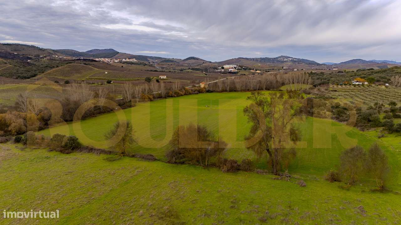 Quinta do Arieiro - Cedovim | Vila Nova de Foz Côa | Douro Superior-29