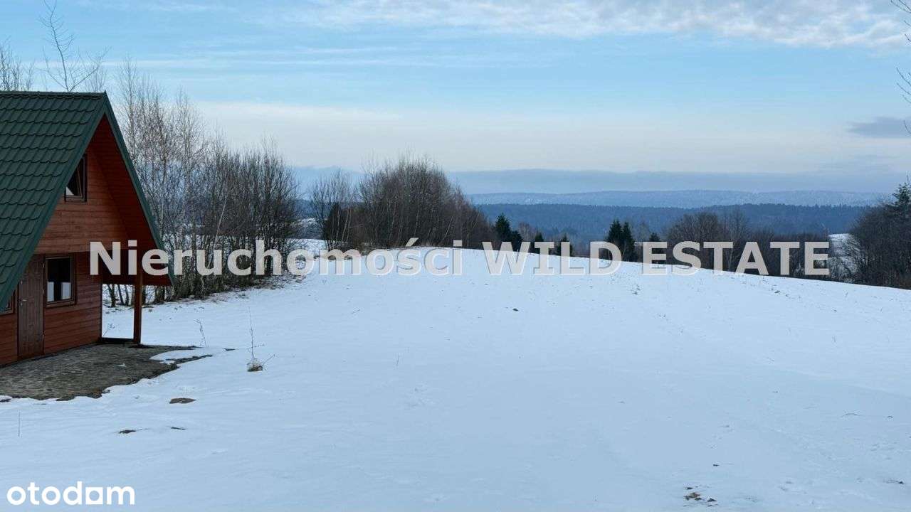 Działka, 11 163 m², Olszanica-2