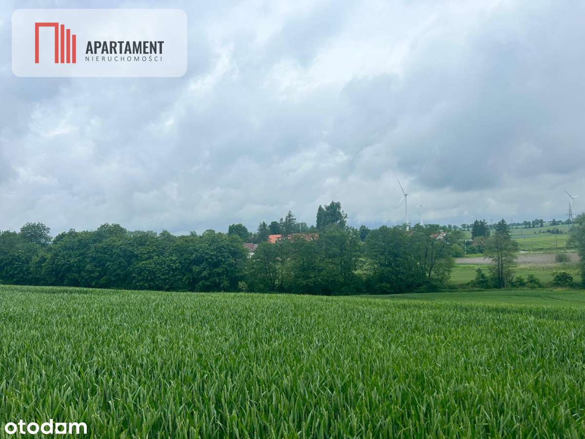 Działka z warunkami zabudowy Koniecwałd - Pełny obrazek: 5/7