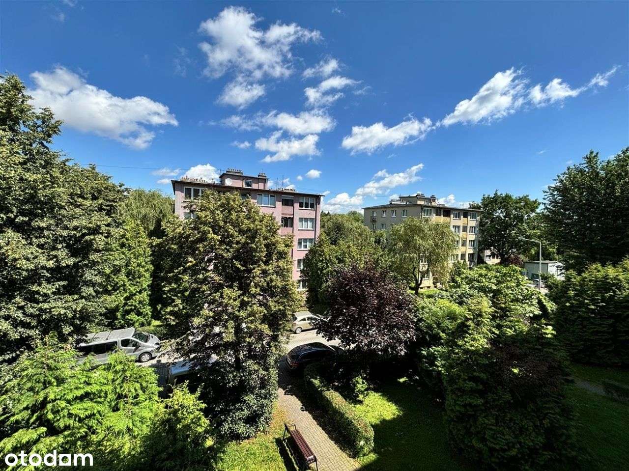 Parter z możliwościami-2