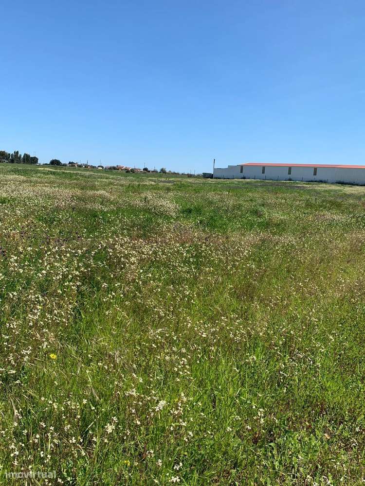 Terreno Rústico com PIP Aprovado – Poceirão e Marateca, Palmela - Grande imagem: 5/9