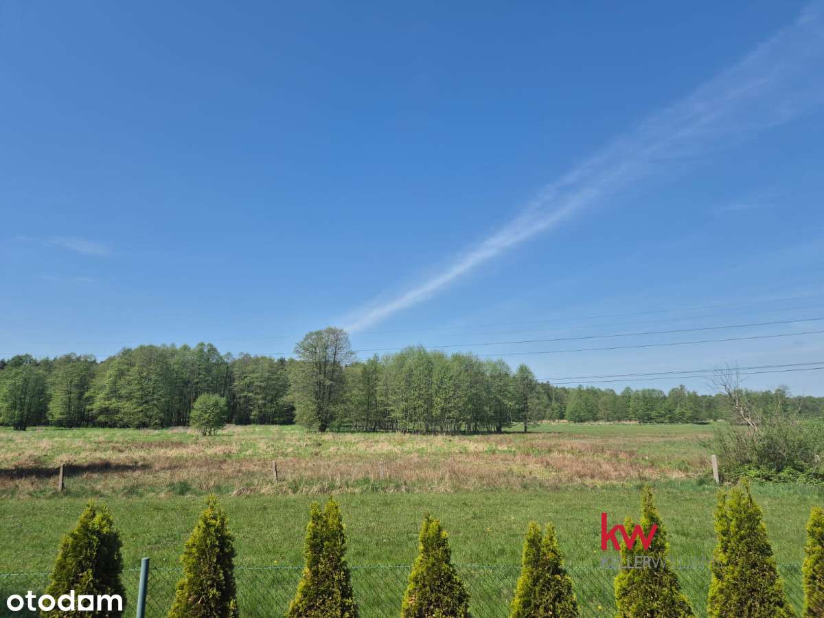 Gotowa skrzynka z prądem! ogrodzona, widok na las! - Pełny obrazek: 4/10