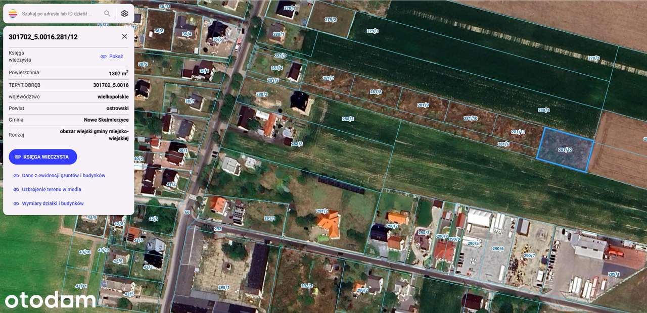 Sprzedam 2 działki budowlane – Ociąż, gmina Nowe Skalmierzyce - Pełny obrazek: 5/5