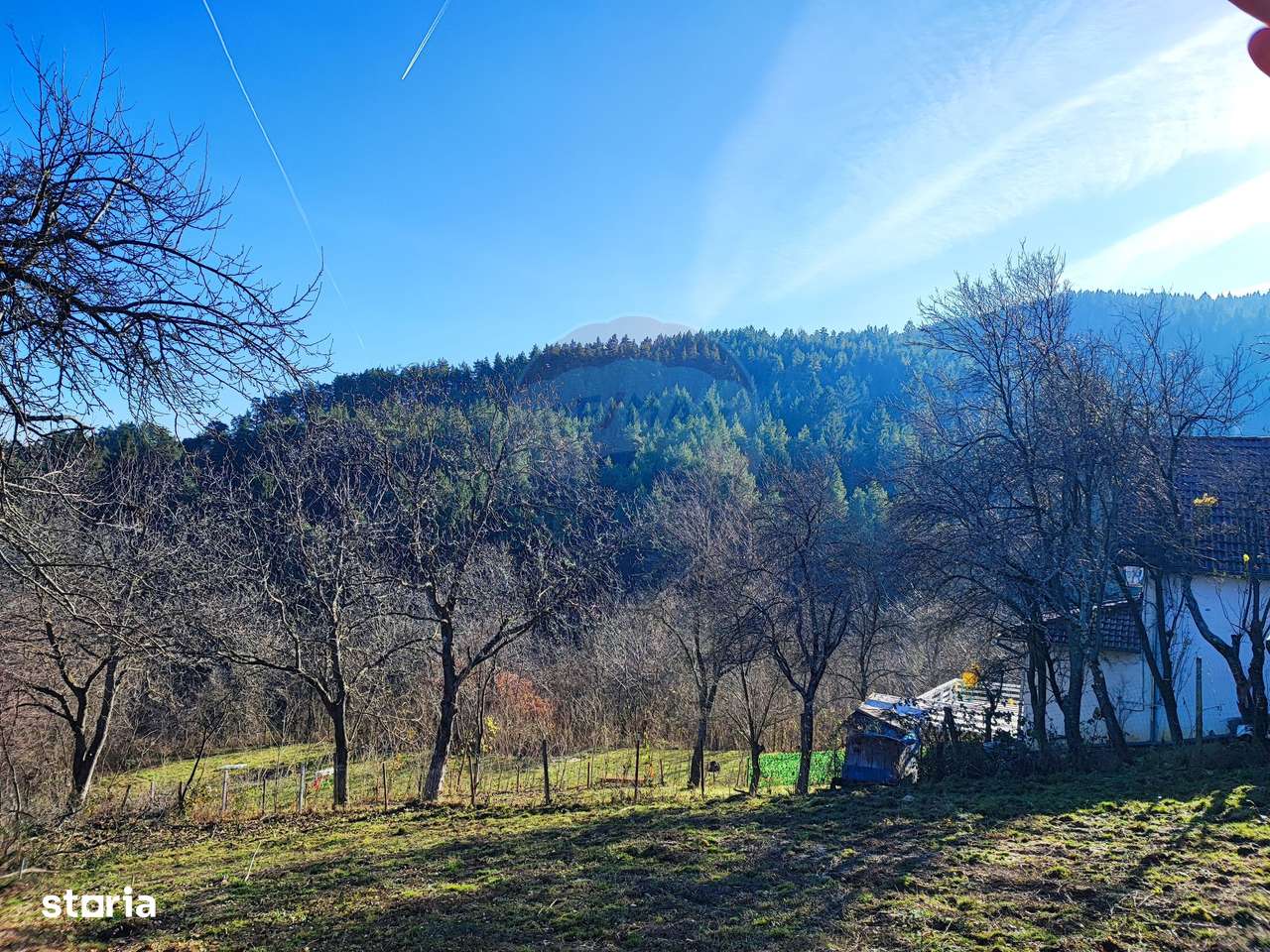 Teren intravilan de vânzare – Vale (Saliste), județul Sibiu - Imagine principală: 5/6