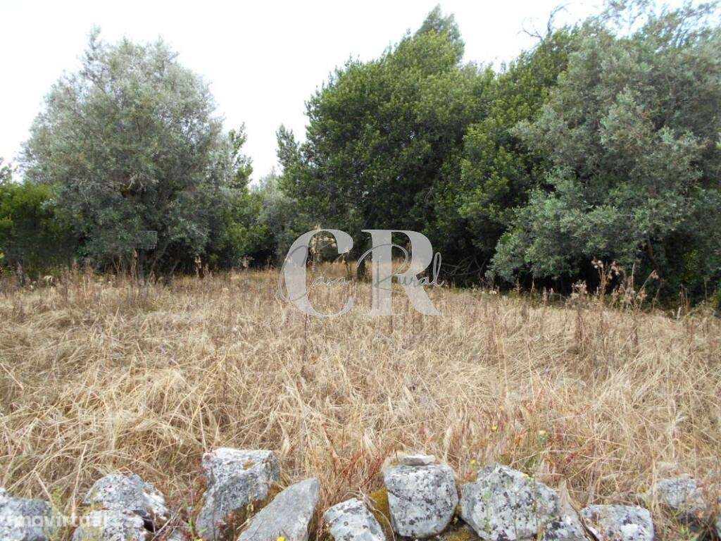Terreno com capacidade para construção próximo de Santiago da Guarda-A - Grande imagem: 2/20