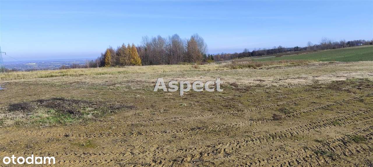 Wola Rafałowska działka z WZ 10,71 ar sprzedam - Pełny obrazek: 5/6