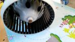 Aeroterma Alfa Romeo 156,motor 1,8b an 1998-2004 - 4