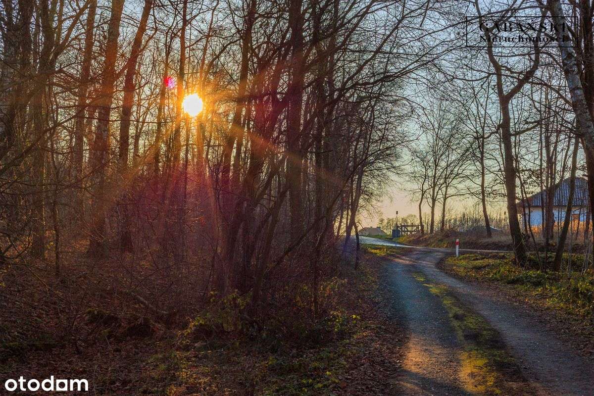 Działka budowlana na sprzedaż - Zaczarnie-14