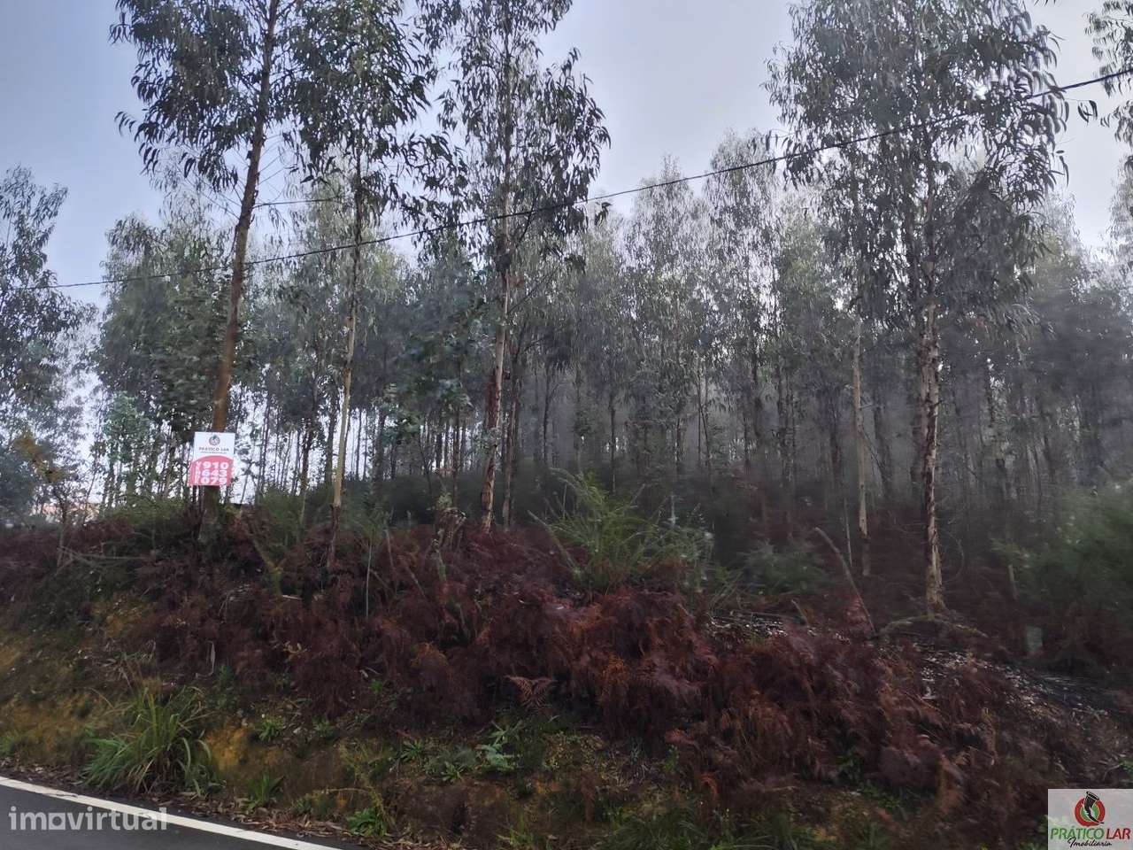 Terreno em Zevedinho, Cedrim com viabilidade de construção - Grande imagem: 4/15