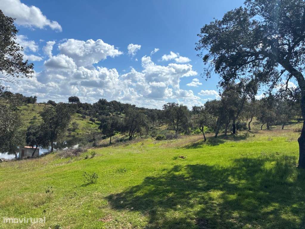 Quinta T2 em Serpa | Vista para a barragem-36