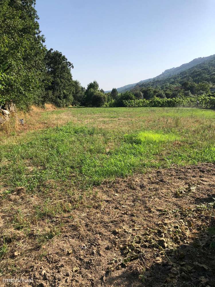 Excelente Quinta na Beira Alta com cerca de 2 Hectares-5