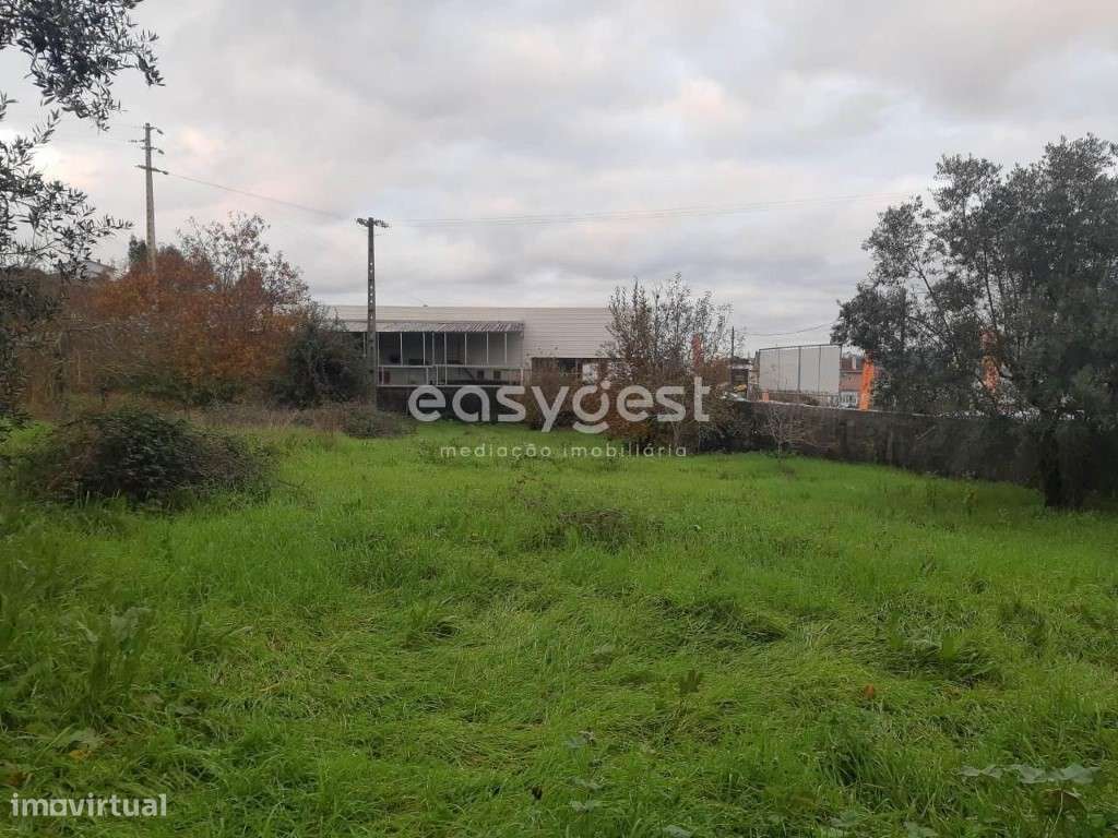 Terreno com 290m2, possibilidade de construção em Albergaria dos Doze - Grande imagem: 4/10