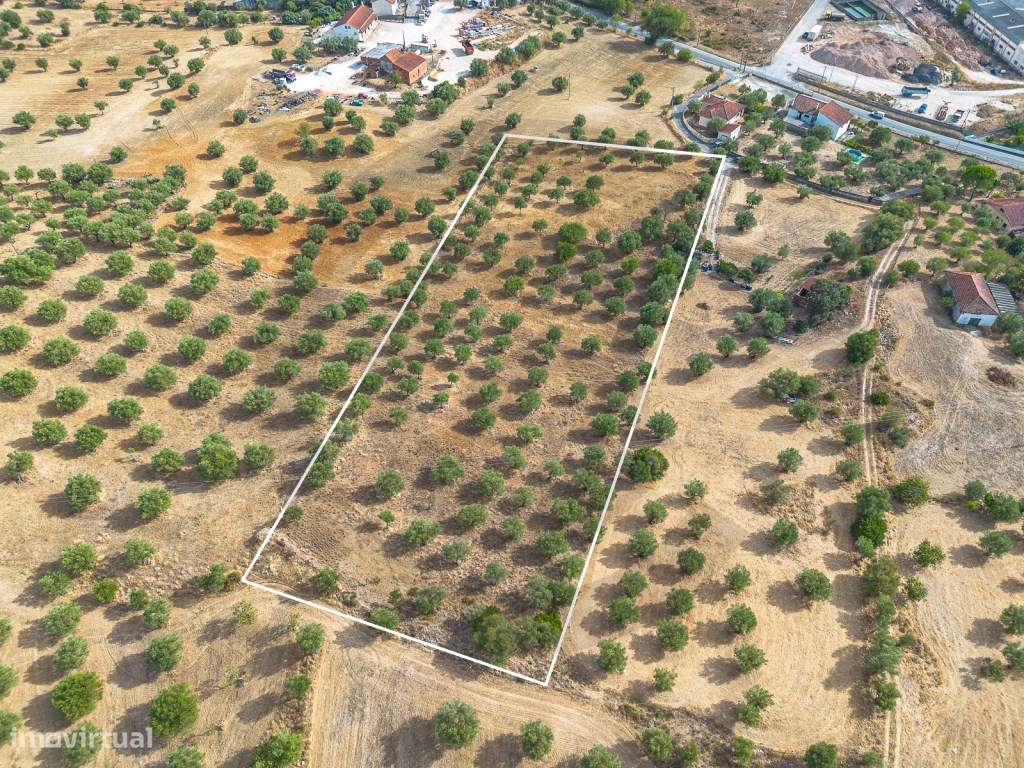 Terreno com potencial construtivo em Alcanena-8