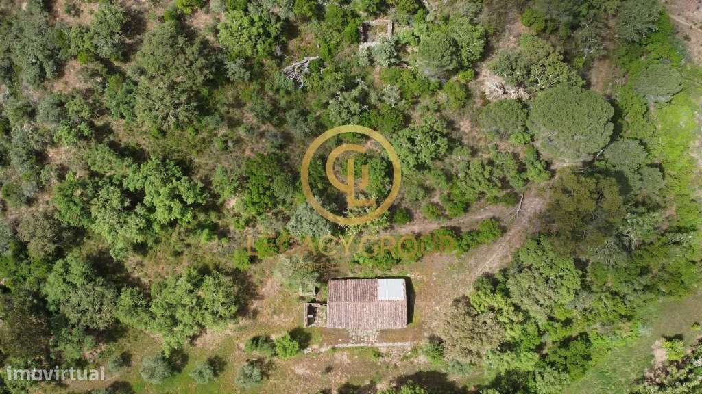 Quinta de 6 hectares perto de São Martinho das Amoreiras-22