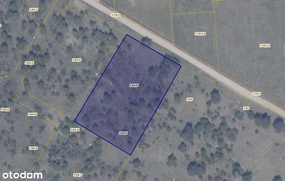 Działka 194/6 w miejscowości Ełganowo-0