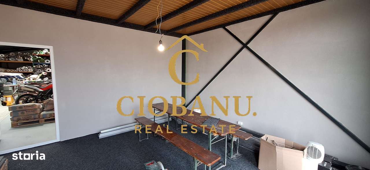 Hala de vanzare in Racari de Jos-6