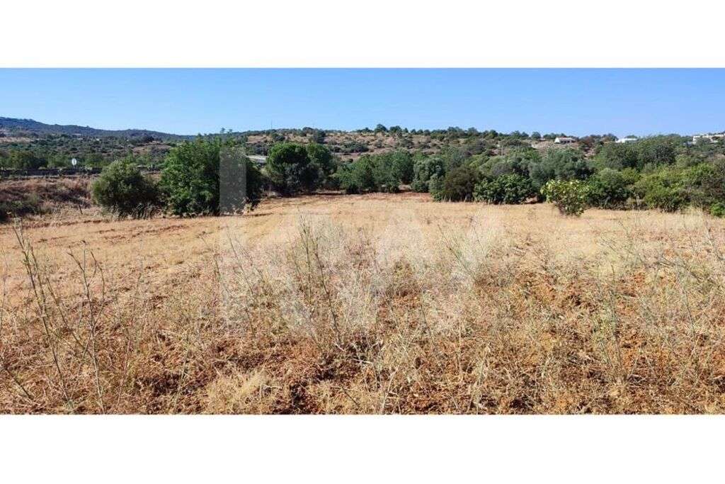 Terreno Rústico Plano de 5.912m2 com Cultura Arvense,  em Arjona - Grande imagem: 5/13
