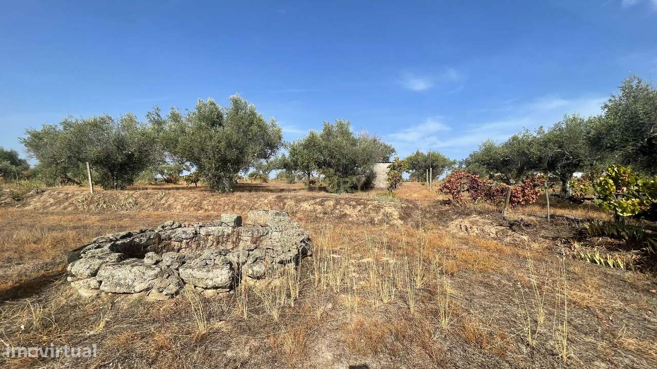 Terreno rústico | Lousa CTB, Castelo Branco - Grande imagem: 5/11